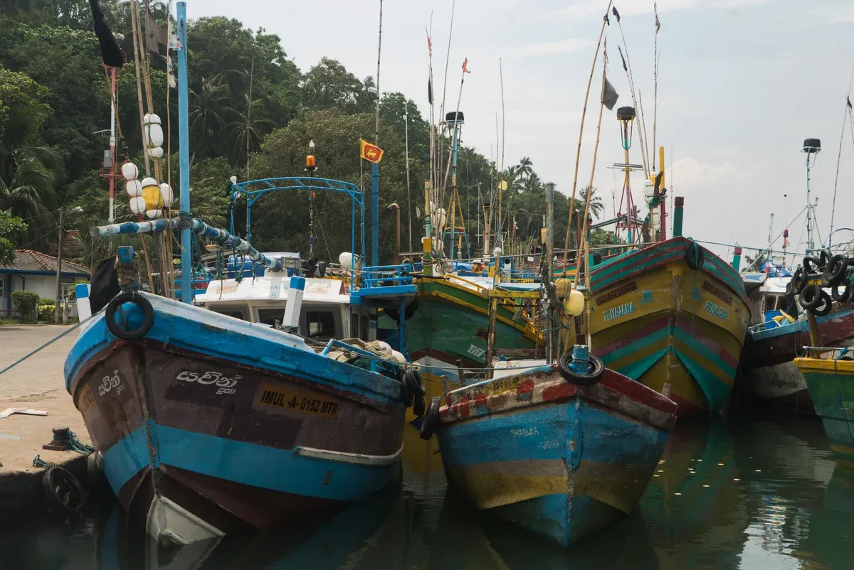 Painted fishing boats moored in Mirissa Fisheries Harbour, the departure point for Mirissa whale watching tours, Sri Lanka