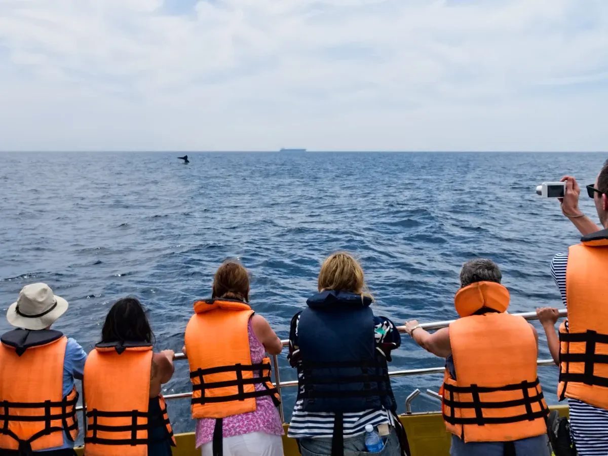 Passengers in life jackets watching a distant blue whale fluke on a Mirissa whale watching tour, Sri Lanka